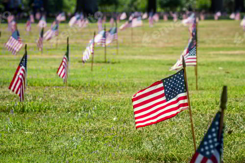 Preview: American Flags Displayed in a Field on Sunny Day