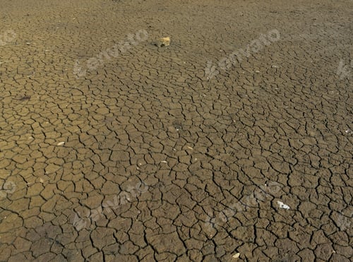 Preview: Cracked And Dried Mud Flats Of The Spanish Lagoon.