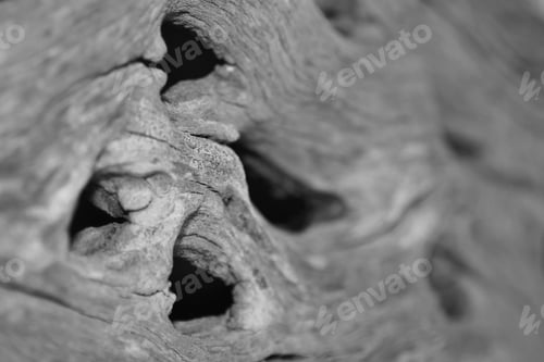 Preview: Hardwood - Abstract Background - Texture Monochrome