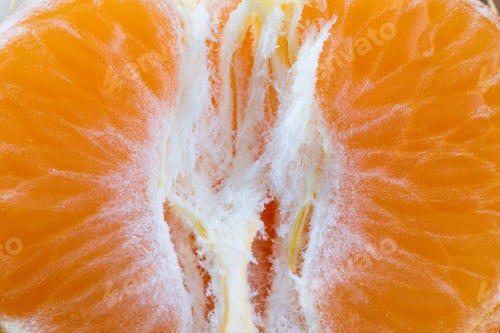 Preview: Macro Of A Small Orange As An Organic Texture Background