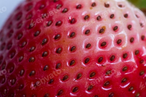 Preview: Close Up Of A Sweet Red Organic Strawberry To Be Used As A Background