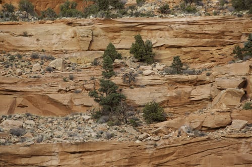Preview: Landscape Of Rough, Weathered Mountains Of Southern Utah In Southwest Usa, For Background Or Texture