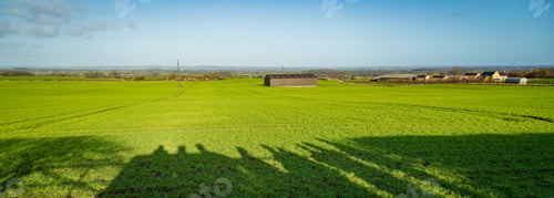 Preview: A Yorkshire Field In The Winter Sun