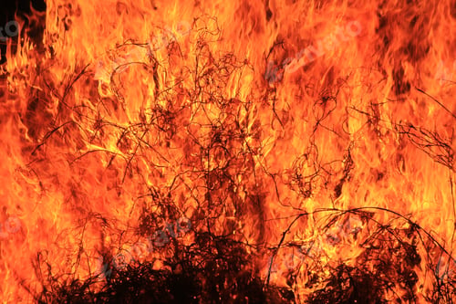Preview: Flame And Fire Background - Management Tool Or Destructive Force - Colorful Heat