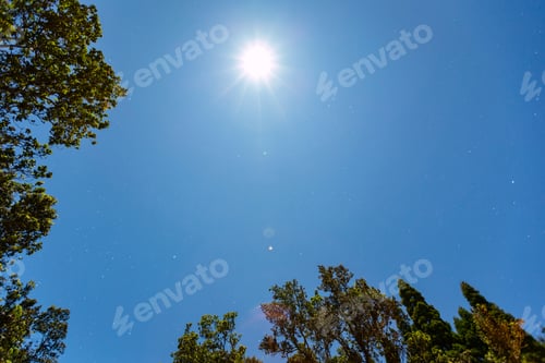 Preview: Shot Of The Moon During The Super Blue Blood Eclipse In January 2018 Taken From The Big Island Of