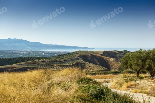 Preview: Agricultural Field And Mountain, Crete, Greece