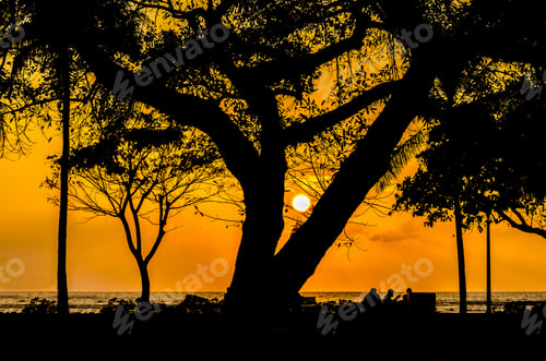 Preview: Palm And Tropical Trees Silhouette On Sunset Tropical Beach.
