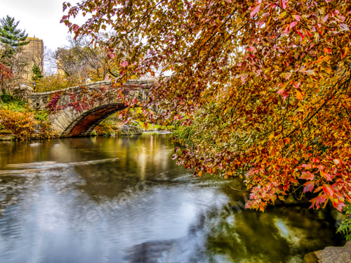 Preview: Gapstow Bridge Is One Of The Icons Of Central Park, Manhattan In New York City