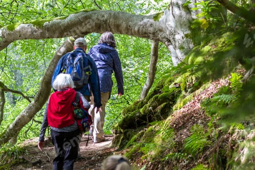 Preview: Perthshire Scotland - September 11 2019: Tour Group Walking In The Woodlands Of The Scottish