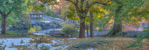 Preview: Central Park, New York City In Autumn