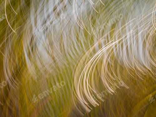 Preview: Blurred Abstract In Neutral Tones Of Sunlight On Palm Fronds.