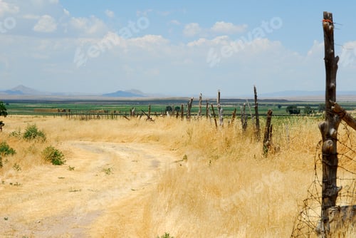 Preview: A Grass Covered Dirt Road Runs Alongside Beautiful Southwestern Usa Farmland And Ranches.