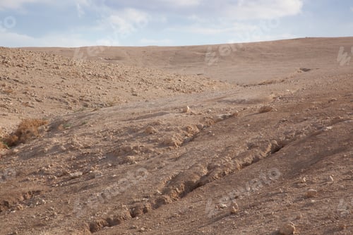 Preview: Dry Landscape From Israel In The Middle East