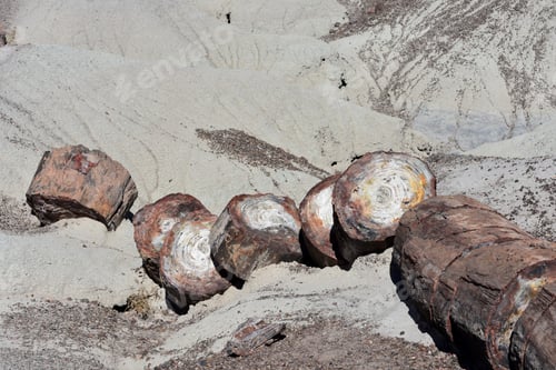 Preview: Large Chunks Of Petrified Wood Logs In The Desert.