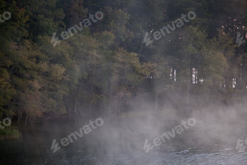 Preview: Early Morning Mist On A Quiet Lake Reflecting Trees
