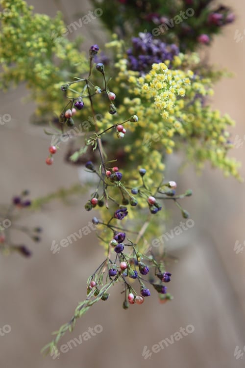 Preview: A Florists Choice Bouquet Including Dianthus Limonium Solidago And Wax Flowers 6364