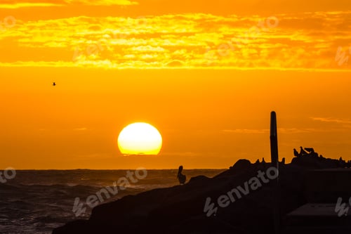 Preview: Sunrise Over The Jupiter, Fl Inlet With Birds Perching On The Jetty In The Silhouetted Foreground