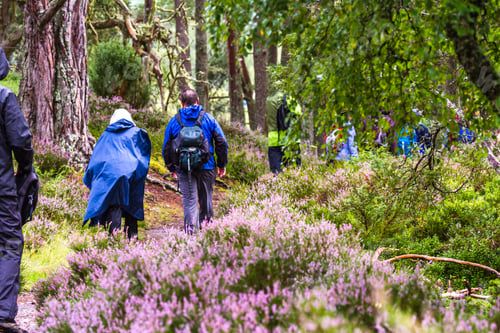 Preview: Scotland - September 09 2019: Group Of Walkers Exploring The Scottish Highlands In The Cairngorm