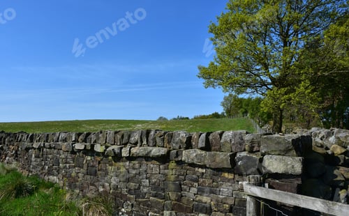 Preview: Rock Wall Lining The Edge Of A Large Pasture.