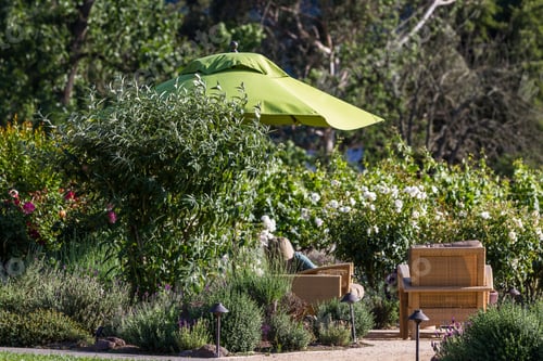 Preview: Relaxing Sitting Area In A Manicured Back Yard With Blooming Flowers