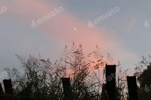 Preview: View Over U.S. Mexico Border Fence Near Naco On 10 September 2016 Img 2285