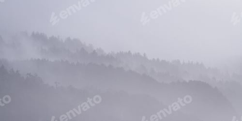 Preview: Serene Evening Landscape At The Oregon Coast With A Heavy Fog Clinging To The Mountains And A Light