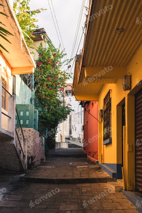 Preview: Narrow Alley With A Lot Of Colorful Houses And A Tree With Blooming Flowers With Beautiful Soft