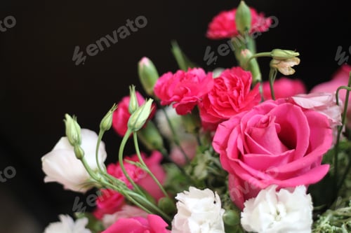 Preview: A Bouquet Of Red White And Pink Roses 1606