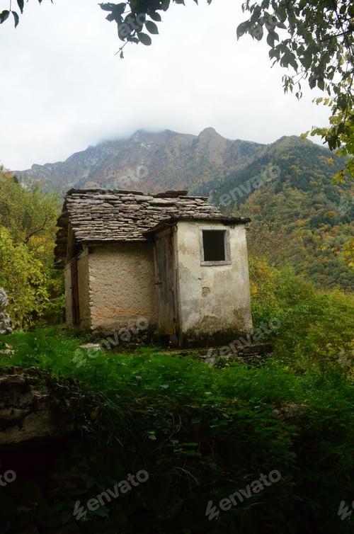 Preview: Beautiful Italian Shack With Thick Green Plants Surrounding It