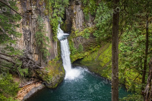 Preview: Toketee Falls In The North Umpqua River In The Umpqua National Forest In Oregon Early Springtime