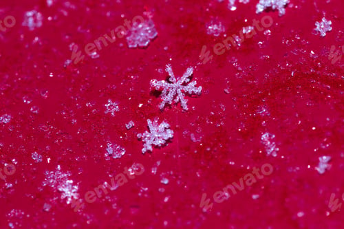 Preview: Small Snow Flake With A Beautiful Symmetrical Shape On A Red Background.