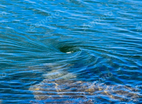 Preview: Whirlpool With Foam Forming In Vortex As It Swirls In A River With A Rocky Bottom