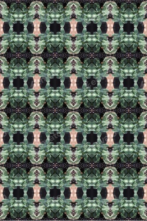 Preview: A Garden Sage Plant Abstract In Filtered Light 0210
