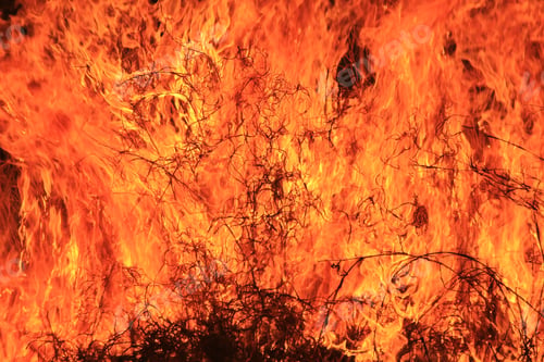 Preview: Flame And Fire Background - Colors Of Burning Heat - Iconic Tool Of Man'S Survival