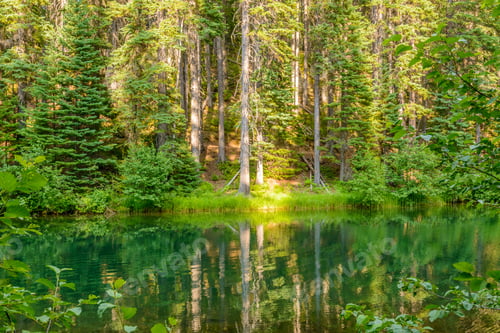 Preview: Majestic Mountain Lake In Canada. Lightning Lake In Manning Park In British Columbia.