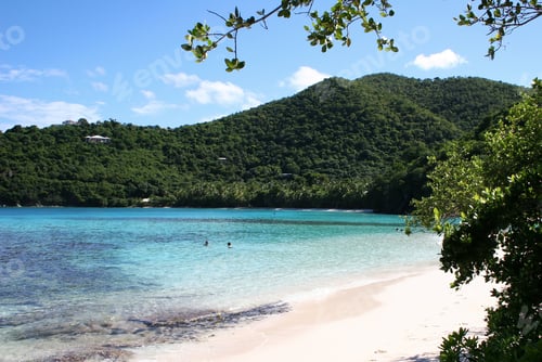 Preview: Beach And Bay On The Caribbean Island Of St John