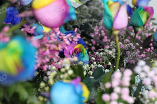 Preview: A Floral Bouquet Of Multicolor Roses With Pink Ginestra And Snowy Babys Breath 7648