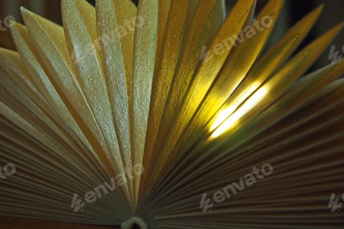 Vista previa: Abstract Close-Up Of Book With Folded Pages