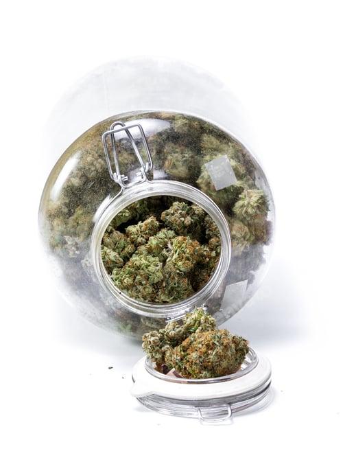 Preview: Large Storage Glass Jar Filled With Cannabis Buds On A White Background