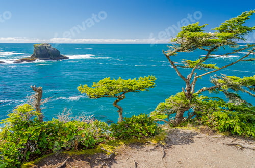 Preview: Fragment Of Ocean View From Soleduck Trail In Olympics Park, Washington, Usa