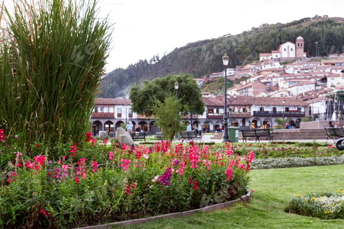 Preview: Cusco, Peru - May 13: Beautiful Blooming Flowers In The Plaza De Armas With Colonial Buildings In