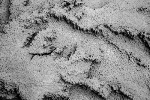 Preview: Image Of Ground, Textured Background Image Of Space Of Nature Floor.