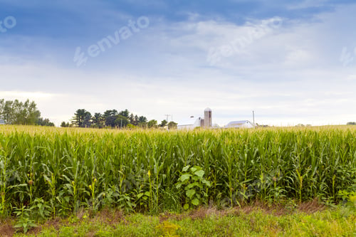 Preview: Field With Blurry Farm Buildings In The Background