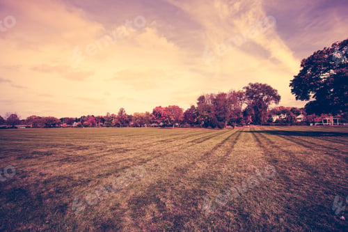 Preview: Autumn