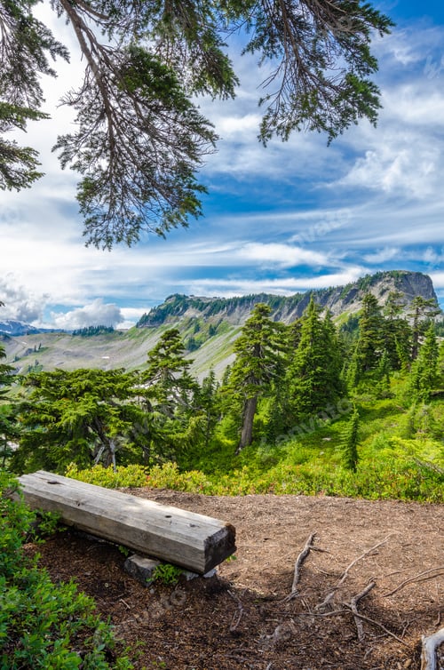 Preview: Beautiful Mountain Artist Ridge Trail Park. Mount Baker, Washington, Usa.