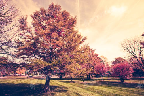 Preview: Autumn
