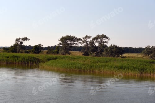 Preview: Bodden Landscape Near Zingst In Germany