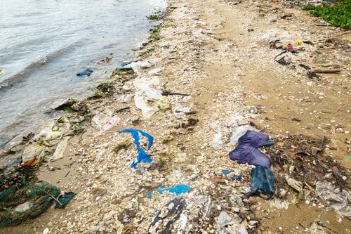Preview: Image Of Polluted Beach Due To Littering.