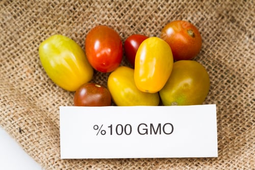 Preview: Close Up Of Tomatoes With A Gmo Label For Consumer Information