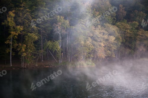 Preview: Early Morning Mist On A Quiet Lake Reflecting Trees